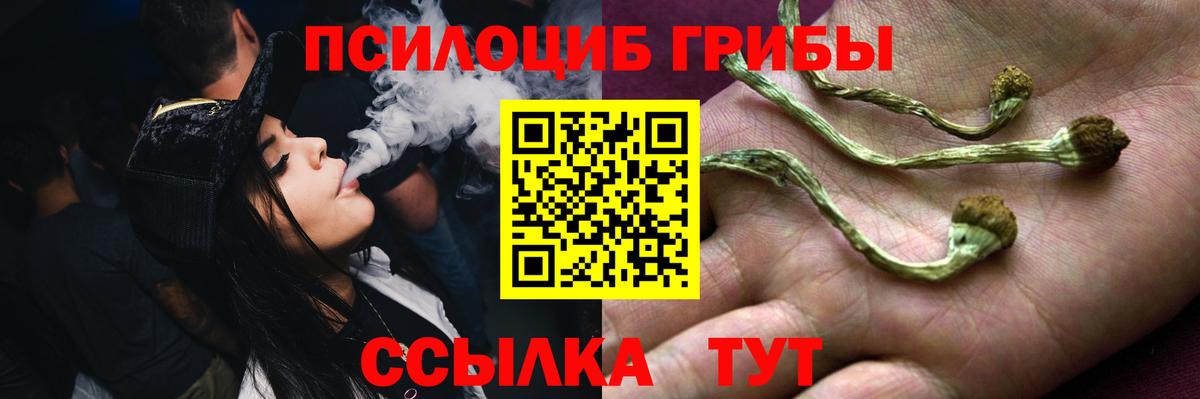 Галлюциногенные грибы мухоморы  Псилоцибиновые грибы прущие грибы  Александров  Вход с VPN 